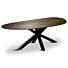  Tafel Sandro Organisch 260x110 Rechts 